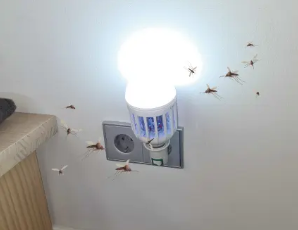 Best Mosquito Trap for 2026: Side-by-Side Editorial Review